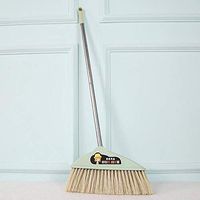 The Length of The Stainless Steel Sweeper for Household use is 88 cm. The Head of The Sweeper is 33 cm, Light Green 1 Handful