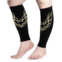 GmCslve Pontiac Firebird Logo Calf Compression Sleeve Leg Performance Support Shin Splint Calf Pain Relief