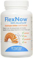 Flex Now Joint Formula 90 SFG