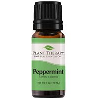 Plant Therapy Peppermint Essential Oil | 100% Pure, Undiluted, Natural Aromatherapy, Therapeutic Grade | 10 Milliliter (⅓ Ounce)