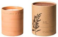 Terra by P.F. Candle Co. (Olive 8 oz)