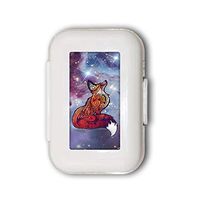 Beautiful Galaxy Fox Pill Box,Pill Organizer Case for Purse Daily/Weekly Unique Design and Large Compartments Medicine Case, Pill Box for Pocket or Purse