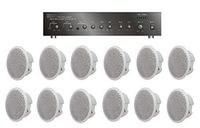 Large Restaurant/Bar/Retail Store Business Background Music Sound System- Amplifier, 12 Speakers +