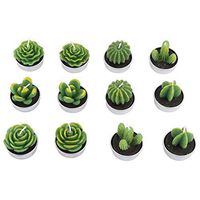 12 Pcs Cactus shaped Candles. Handmade Flameless Home Succulent Candles with Transparent Gift box.Suitable for Xmas Gift