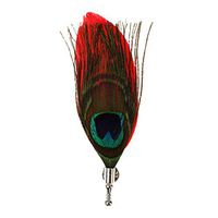 Vintage Peacock Feather Brooch Lapel Pin Men Women Shirt Suit Wedding Accessory Daily Popular Fashion Novelty Jewelry Girls Woman Girl Cheap | Color - Red