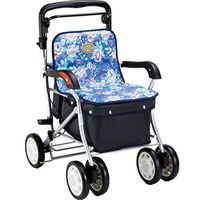 TYJ-USA Walker Elderly Assisted Scooter Shopping cart Walker cart (Color : A, Size : 6551cm)