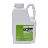 Prostar 70 WG 3 Lbs.