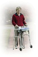 E-Z Walker Caddy, Standard, 1/cs