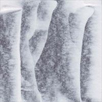 Relief Ink Color: Titanium White