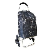 Rolling Walkers Shopping Cart Old Man Trolley Folding Small Cart Home Grocery Shopping Aid Portable Trolley Gift Can Bear 80 Kg (Color : B, Size : 2344100CM)