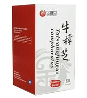 Tonify+ (Taiwanofungus Camphoratus - Immune Boost) Made in USA