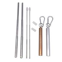 Collapse for Me Telescopic Stainless Steel Straw Sets – Collapsible with Case, Carabiner, Silicone Tip and Telescopic Cleaning Brush (2-Pack, Silver & Champagne Gold)