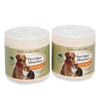 Smells BeGone 15-Ounce Pet Odor Absorber Citrus Solid Air Freshener, by Smells Begone