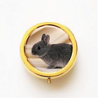 RhyNSky Animal Rabbit Mini Portable Pocket Pill Box Case Holder for Purse, 3 Compartments, Gold, FG38