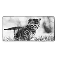 Cats Microfiber Multi-Purpose Cleaning Towels Perfect for Kitchens, Dishes, Car, Dusting, Drying Rags, 11.8 × 27.5 Inches