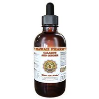 Calamus and Ginger Liquid Extract, Organic Calamus (Acorus calamus) and Organic Ginger (Zingiber officinalis) Dried Root Tincture Supplement 2 oz