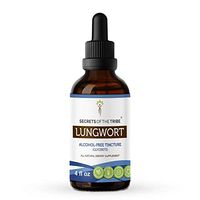 Lungwort Alcohol-Free Liquid Extract, Organic Lungwort (Pulmonaria officinalis) Dried Leaf Tincture Supplement (4 FL OZ)