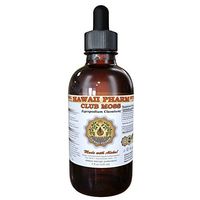 Club Moss (Lycopodium clavatum) Liquid Extract 4 oz