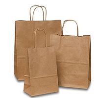 Brown Kraft Paper Bags | Quantity: 25 | Width: 16"
