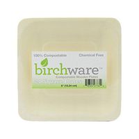 Square Compostable Wooden Plates, Party & Craft Supplies - Birchware (20 Pack)