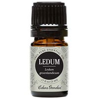 Edens Garden Ledum Essential Oil, 100% Pure Therapeutic Grade (Highest Quality Aromatherapy Oils- Cold Flu & Detox), 5 ml