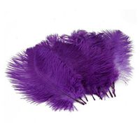 Pack of 10, 15-20 cm Home Decor Real Natural Ostrich Feathers Great Party Wedding Decorations(Purple)