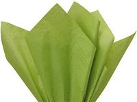 6 Sheets Gift Grade Tissue Paper Sheets - 20" x 30" Soft fold Packed Choose Color (Oasis Green)