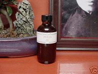 Chow Gar Southern Praying Mantis Lineage Dit Da Jow Liniment - 2 oz bottle