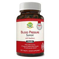 RHP Blood Pressure Support Supplement. Advanced Hypertension Supplement formulated for The Cardiovascular and Circulatory Systems. Non-GMO. 120 Tablets.