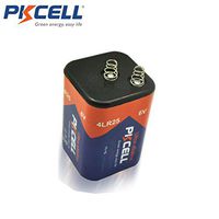 1pcx Pkcell 6 Volt Alkaline Lantern Battery with Spring Terminal