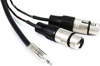 Pro Co 10 Feet IPMB2XF-10, 1/8 Inches TRS to (2) XLRF Y-Cable - 10 Foot, XLR Female