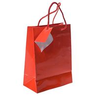 Fun Express Small Red Gift Bags (24 Pack)