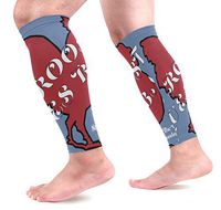 LEVEIS Red Rooster Arm Sleeves UV Protection for Men Women Sunblock Protective Gloves Running Golf Cycling Driving Long Arm Cover 1 Pair