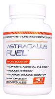 Astragalus Fuel - Immune Booster Effective and Powerful - 500mg per Capsule of Pure Astragalus - Supports Cardiovascular Health, Boosts Immune Function, Respiratory - 90 Capsules Manufactured USA