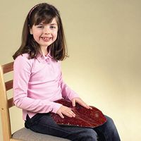 Skil-Care Weighted Lap Pad, Optional Cover