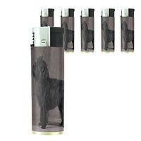 Dog Affenpinscher 02 Lighter Set of 5 Pieces