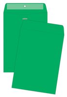 Quality Park Clasp Envelopes, 9 x 12 inches, Green, Pack of 10 (38735)