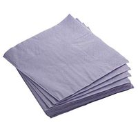 Exquisite 50 Pack of Luncheon Paper Napkins The 2 Ply Party Napkins are Highly Absorbent of Vibrant Colors - Lavender Napkins