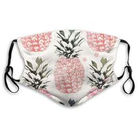 Pineapple Protective Mask with Gasket Disposable Water Repellent Multilayer Filter Adult Sunscreen Large Mask M