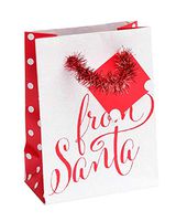 Roobee Glitter & Tinsel Handle 'from Santa' Mini Gift Bag & Tag