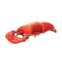 Meidexian888 3D Pillow,3D Fun Digital Print Comfort Soft Back Cushion Mat Plus Stuffed for Home Decoration Simulation Lobster Shape (B)