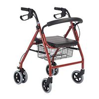 Elderly walker Aluminum Folding Shopping Rider Pushing Food Scooter Double Wheel Walker with Handbrake FANJIANI