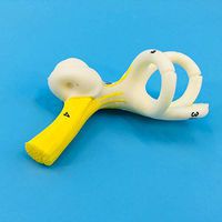 Huashao Ear Model - Inner Ear Labyrinth Model - Cochlear Labyrinth and Membrane Labyrinth Anatomy Models - Medical Educational Training Aid