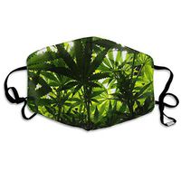 Face Mask Spectrum of Light Stylish Cycling Half Face Earloop Dust Mask for Women