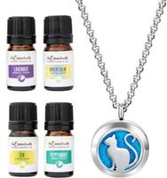 mEssentials Pretty Kitty Essential Oil Diffuser Necklace Gift Set - Includes Aromatherapy Pendant, 24" Stainless Steel Chain, Refill Pads and 100% Pure Oils (Lavender, Peppermint, Inner Calm and Zen)