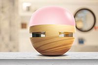 Bluetooth Speaker with Aromatherapy and Soothing LED lights