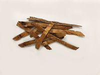 栝蒌皮 | Chinese Cucumber Bark