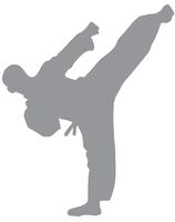 hBARSCI Karate Kick Vinyl Decal - 5 Inches - for Cars, Trucks, Windows, Laptops, Tablets, Outdoor-Grade 2.5mil Thick Vinyl - Gray