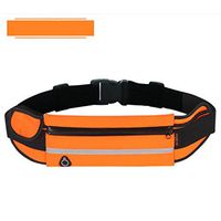 Water Proof Sports Running Pouch Cycling Hiking Travel Waist Bag Purse Ajustable Belt Pack (Orange)
