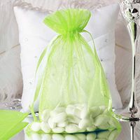Tableclothsfactory 50PCS Mint Organza Gift Bag Drawstring Pouch Wedding Favors Bridal Shower Treat Jewelry Bags - 6"x9"